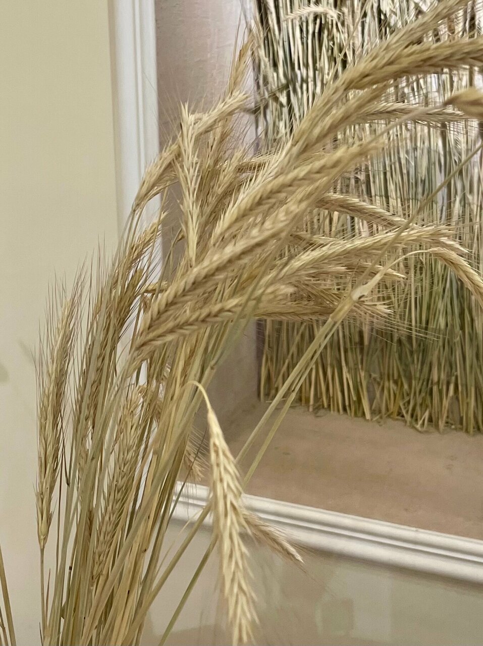 Гостиница Югор Сыктывкар-132