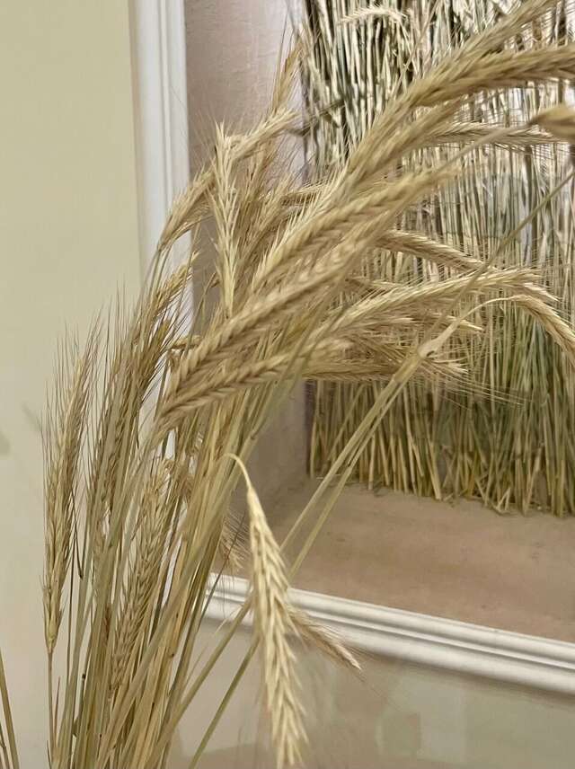 Гостиница Югор Сыктывкар-131